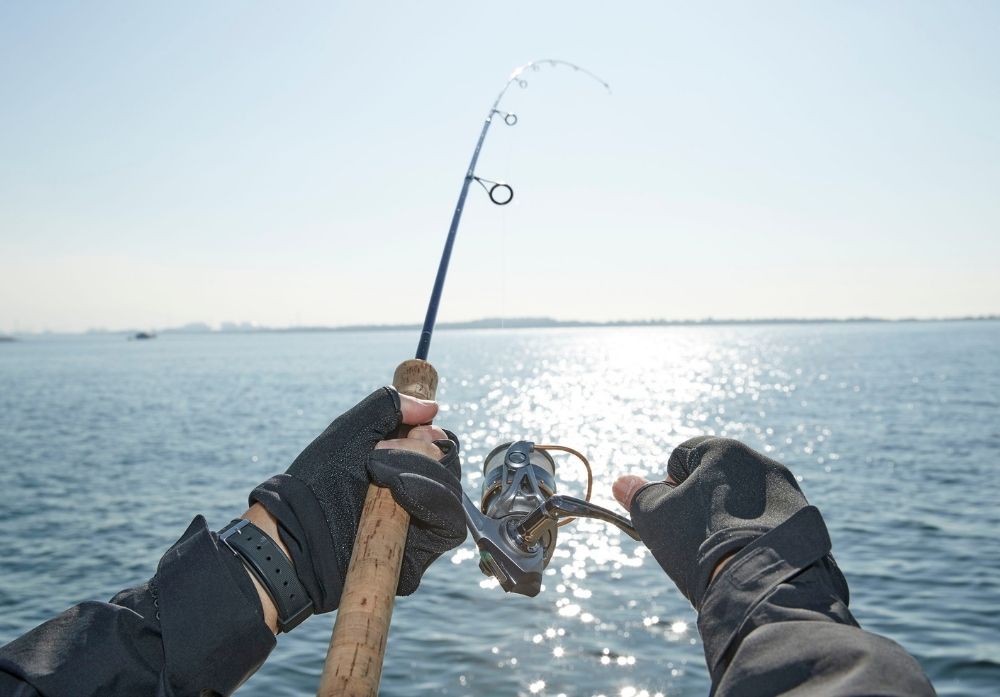 fishing 