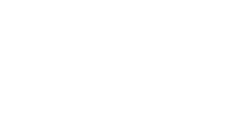 Nederman Logo